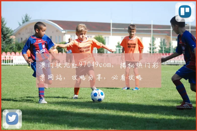 澳门状元红97049com，揭秘热门彩票网站，攻略分享，必看攻略